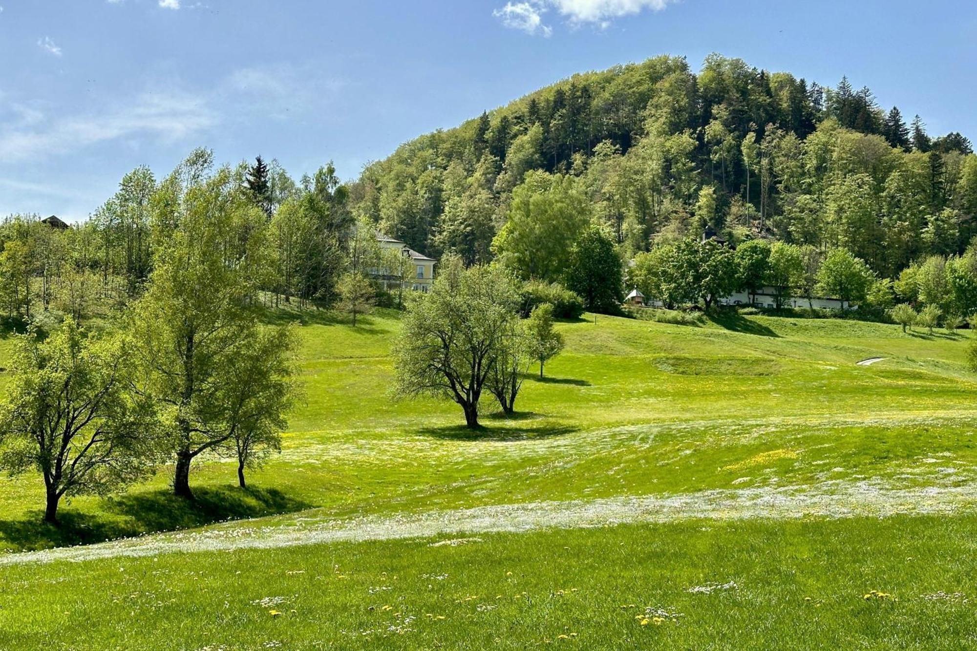 Arabella Jagdhof Resort Am Fuschlsee, A Tribute Portfolio Hotel Hof bei Salzburg Exterior photo